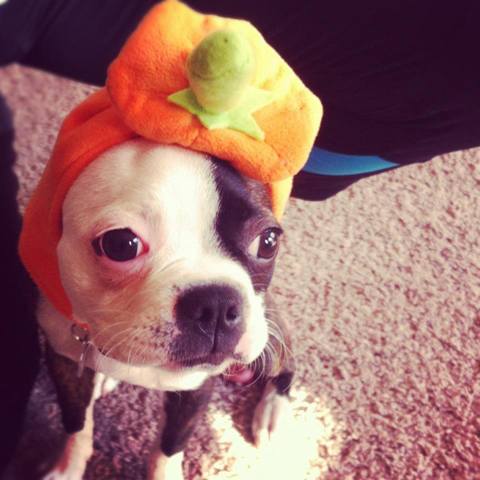 Boo